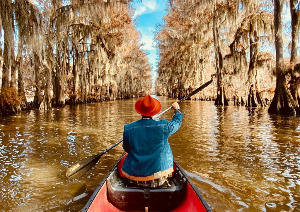 Mind and Meditation: Techniq for a Calmer Lif